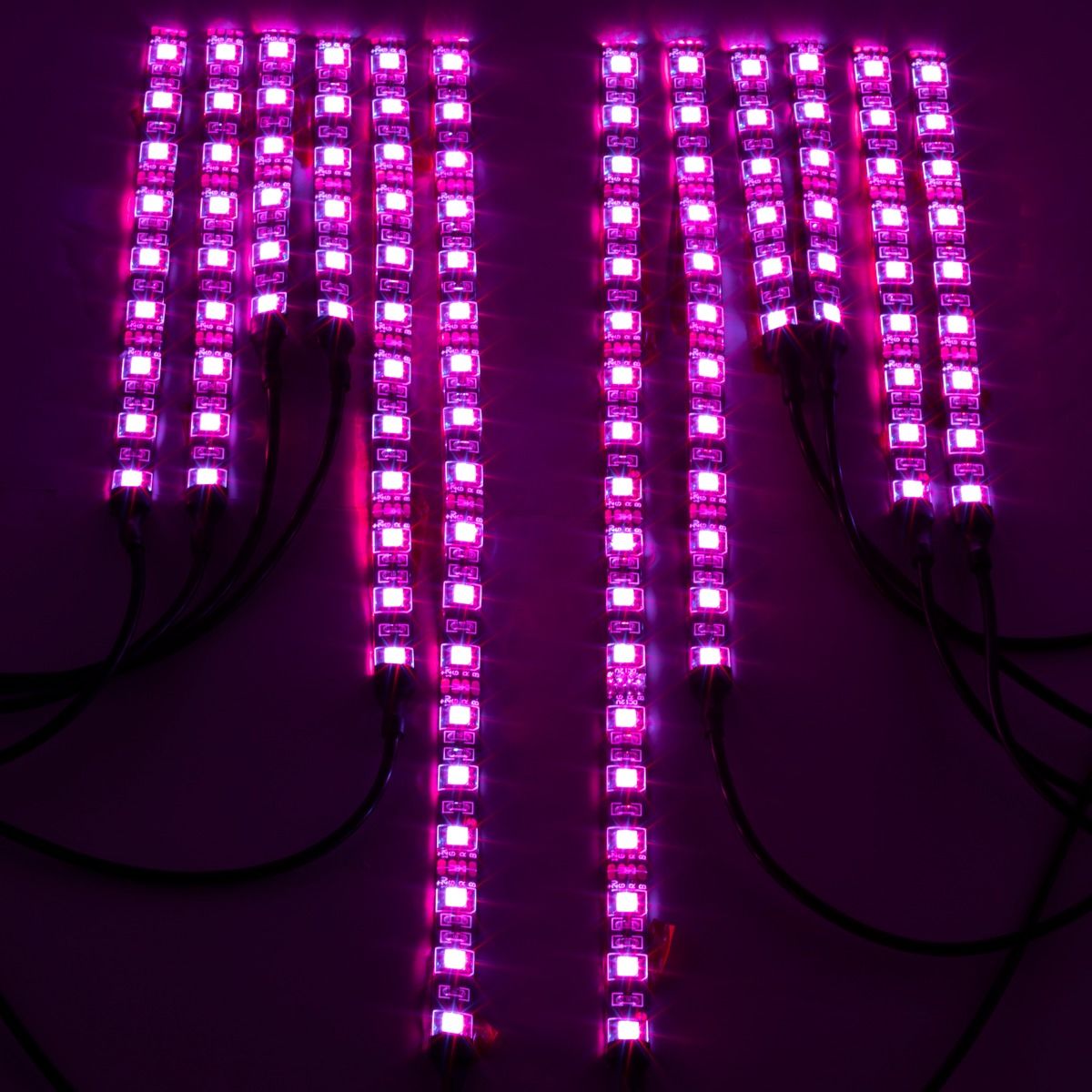 Upgrade To Our Safety Underglow Led Kit [One Time Offer]